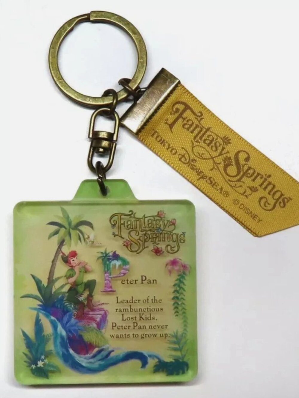 Tokyo Disney Fantasy Springs Peter Pan Keychain